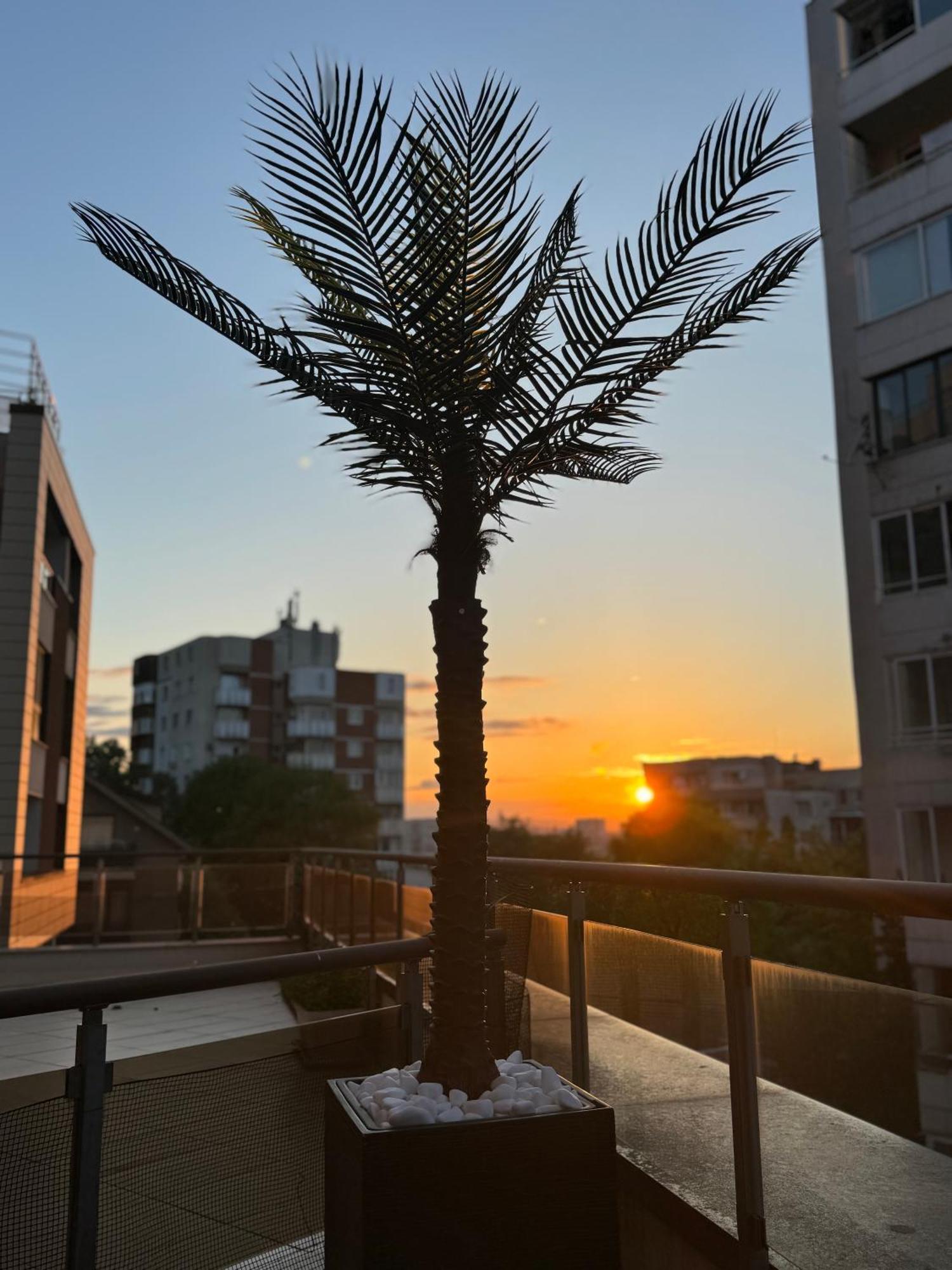 Appartamento Tres Palmas Sofia